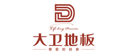 大衛(wèi)地板 大衛(wèi)地板